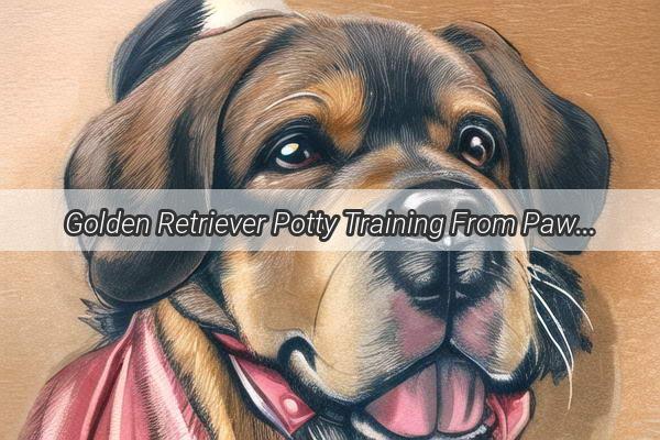 Golden Retriever Potty Training From Paws to Perfection